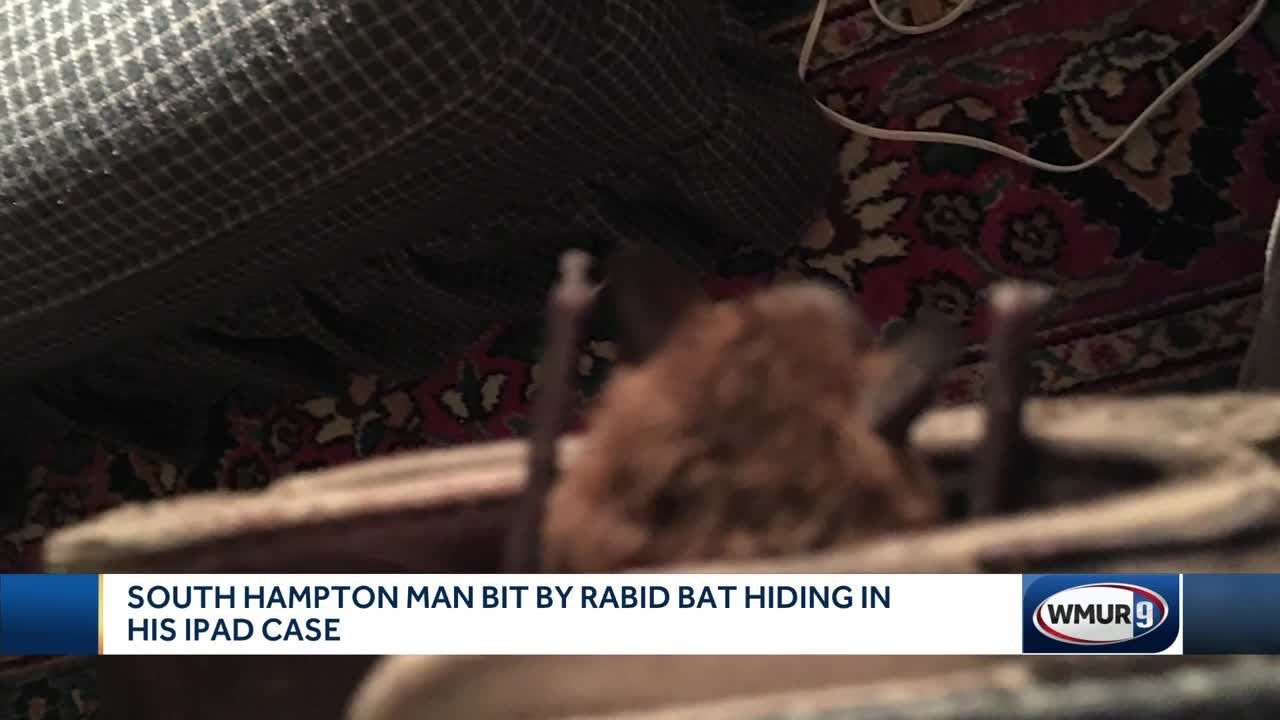 South Hampton man bit by rabid bat hiding in his iPad case