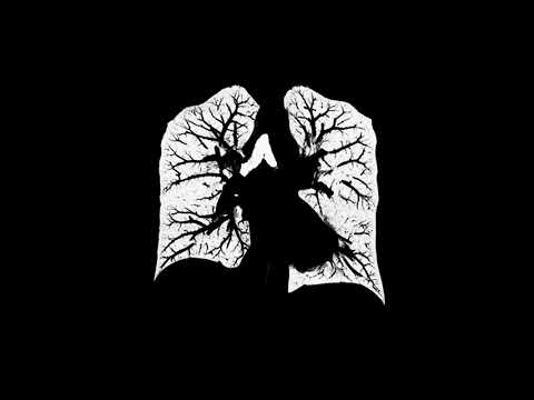 Justin Wright - Hellbrunn Automatons (Official Music Video)