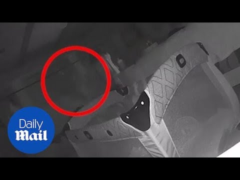 Baby monitor catches ghostly figure walking around girl's crib