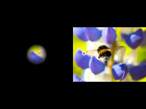 Visual (In)stability