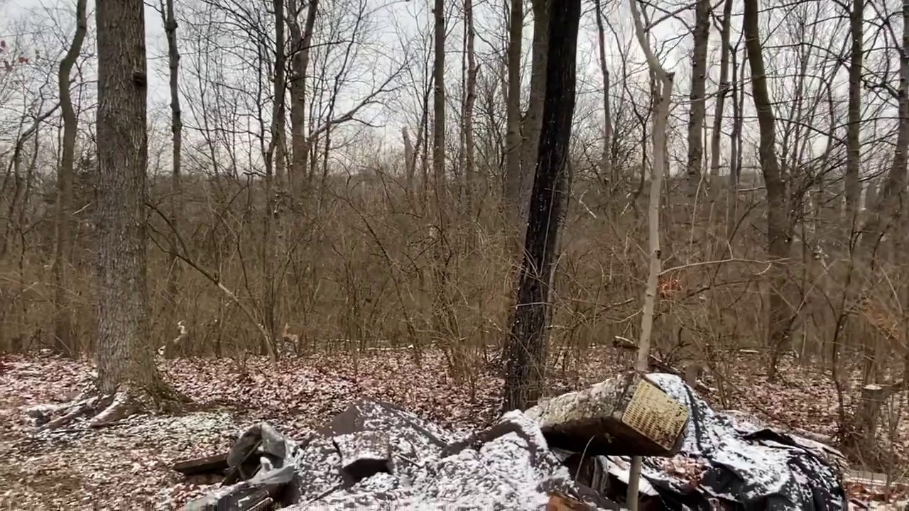 Strange Scary Noises In Fairfield Ohio | Bigfoot!?