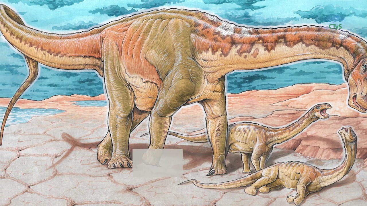Descubren una nueva especie de dinosaurio en Argentina  de 110 millones de años