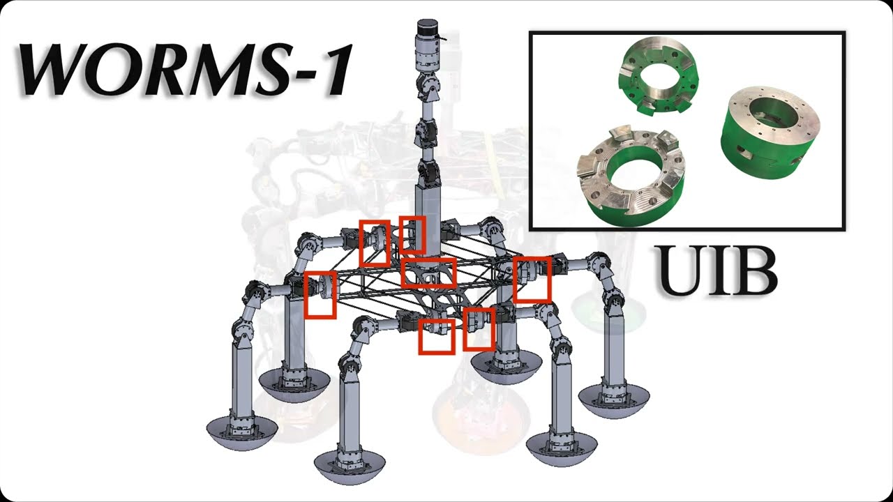MIT WORMS Development Video Oct 2022