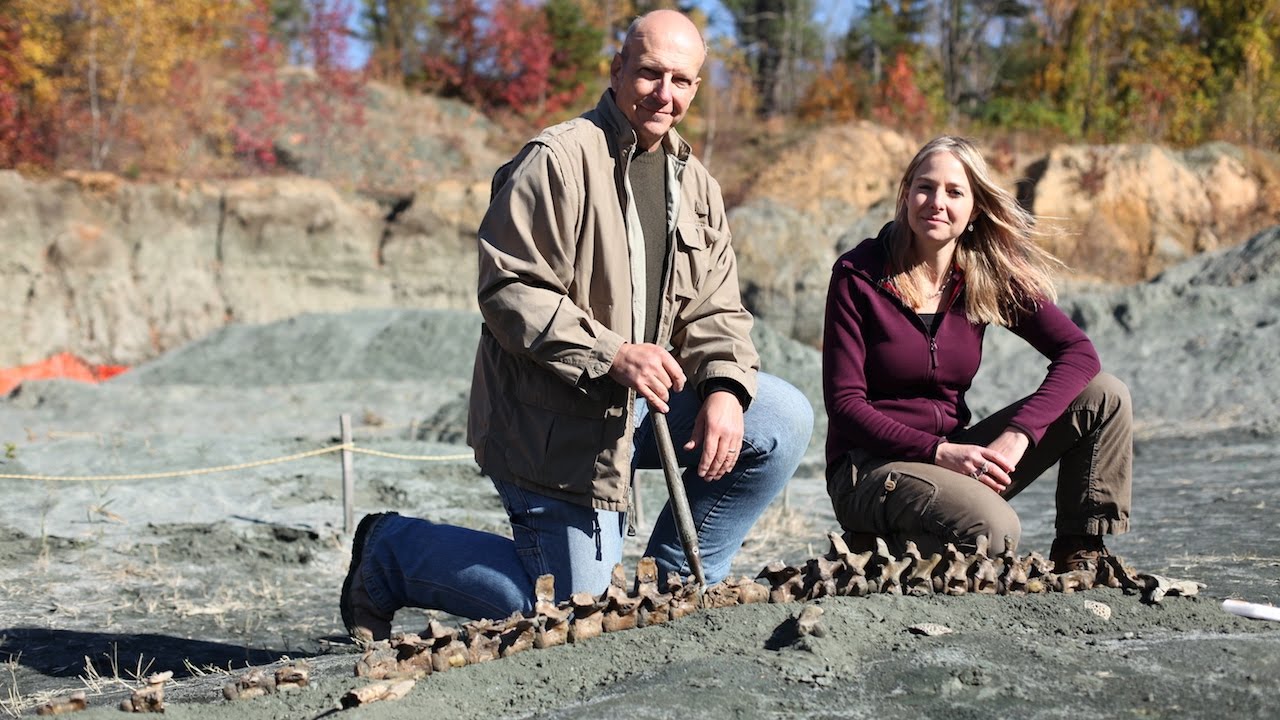 The Day the Dinosaurs Died: Teaser