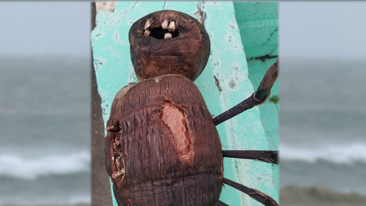 Mysterious totem found on beach