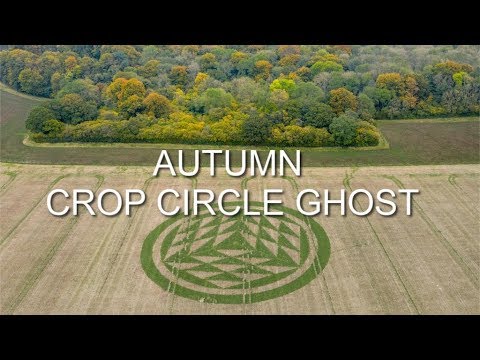 Autumn Crop Circle Ghost - Rodfield Lane - Hampshire 23/10/19
