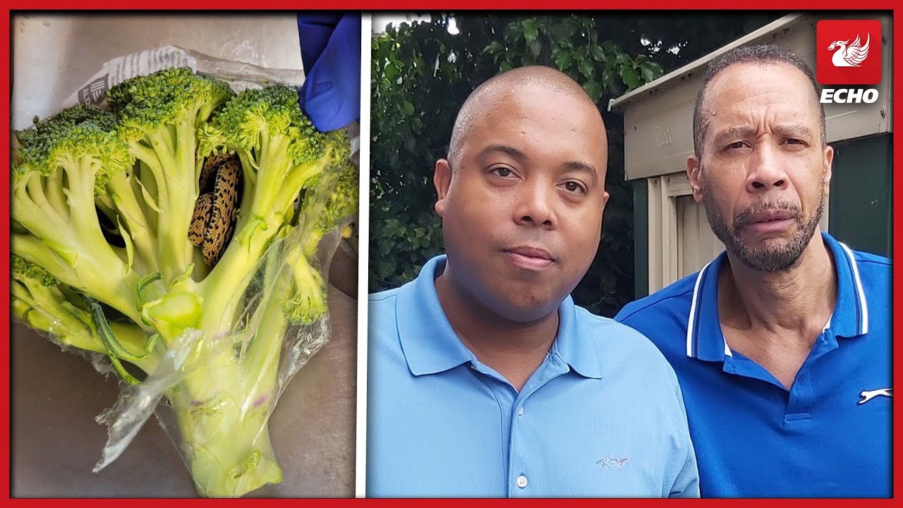 Grandad terrified after opening bag of broccoli he bought from Aldi