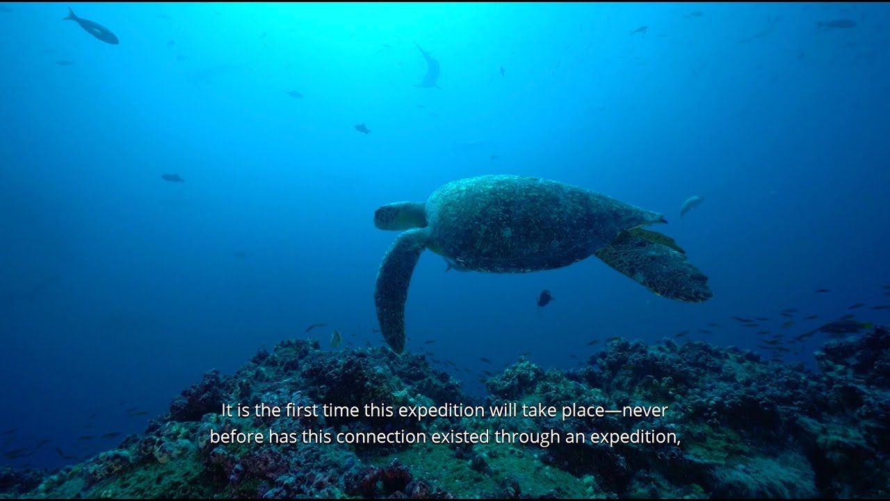 Expedición Galápagos - Coco