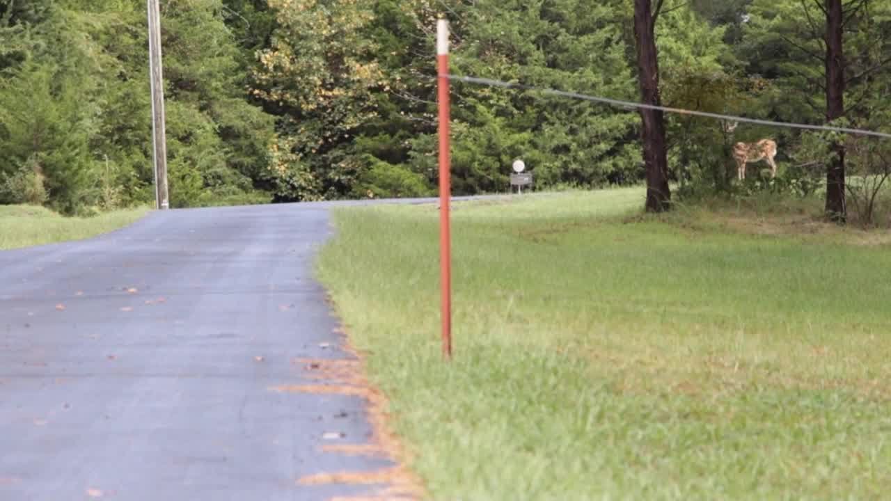 Digital Original: Video shows creepy clown digging on roadside; then dragging shovel while walking t