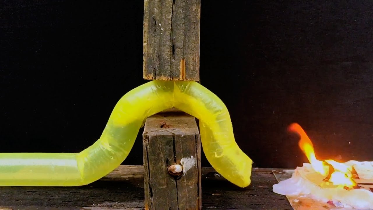 Stanford researchers develop vine-like, growing robot