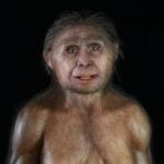 Imagem relacionada a 'Hobbits' são muito mais velhos do que se pensava