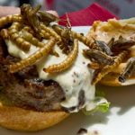 Imagem relacionada a Insetos e carne falsa são o futuro dos alimentos?