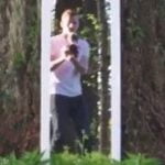 Imagem relacionada a Ilusão da porta mágica em árvore confunde a internet