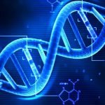 Imagem relacionada a Cientistas começam a criar DNA humano artificial do zero