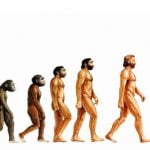 Imagem relacionada a Inteligência artificial pode determinar quando você vai morrer?