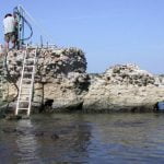 Imagem relacionada a Como o concreto romano durou 2.000 anos?