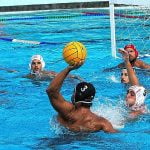 Imagem relacionada a Como joga Pólo Aquático?