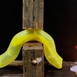 Imagem relacionada a Cientistas desenvolvem robô bizarro semelhante a um verme