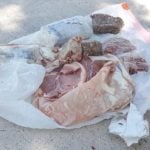 Imagem relacionada a Salsichas congeladas caem em telhado de casa na Flórida