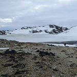 Imagem relacionada a Misterioso micróbio pode ser a chave para a origem dos vírus