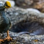 Imagem relacionada a Cientistas revelam segredos perdidos do Dodo