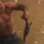 Imagem relacionada a Homem pega um peixe dentro de sua sala de estar