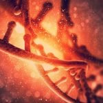 Imagem relacionada a Cientistas reparam mutações em embriões humanos