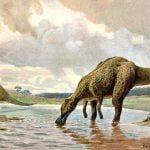 Imagem relacionada a Dinossauros herbívoros às vezes comiam caranguejos