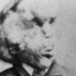 Imagem relacionada a Rara carta do 'Homem Elefante' está em exibição