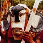 Imagem relacionada a A antropologia comportamental