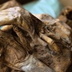 Imagem relacionada a Como era o processo da mumificação?