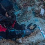 Imagem relacionada a Naufrágio de Antikythera revela estátuas e disco de bronze misterioso