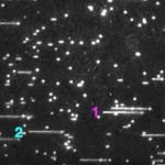 Imagem relacionada a Replicação de DNA capturada em vídeo pela primeira vez