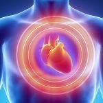 Imagem relacionada a O que é Sopro no coração?