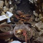 Imagem relacionada a Túmulo de rei maia desenterrado na Guatemala