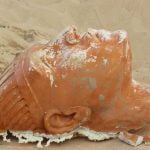 Imagem relacionada a Cabeça de esfinge desenterrada na Califórnia