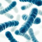 Imagem relacionada a Probióticos e Prebióticos: Qual a Diferença?
