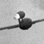 Imagem relacionada a A invasão dos "robôs" a Londres