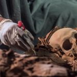 Imagem relacionada a Múmia descoberta em túmulo inexplorado de Luxor