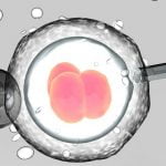 Imagem relacionada a Bebê nasce quatro anos depois da morte dos pais