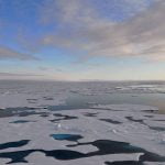 Imagem relacionada a Como o gelo do mar afeta o clima global?