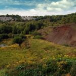 Imagem relacionada a Sítio fossilífero de Messel