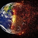 Imagem relacionada a Primeiros animais do mundo causaram o aquecimento global