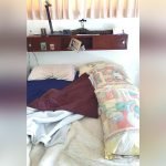 Imagem relacionada a Mulher acorda e encontra uma python enorme em sua cama