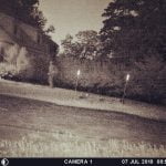 Imagem relacionada a Mulher fotografa 'fantasma' em seu jardim