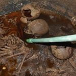 Imagem relacionada a Sarcófago egípcio antigo 'amaldiçoado' revela seus terríveis segredos