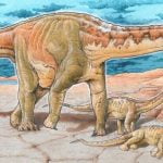 Imagem relacionada a Novas espécies de dinossauros descobertas na Argentina