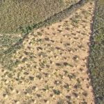 Imagem relacionada a Estrutura antiga de cupins é visível do espaço