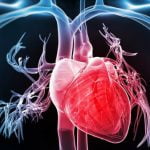 Imagem relacionada a Você pode não estar mais propenso a sofrer parada cardíaca na segunda-feira de manhã, diz estudo