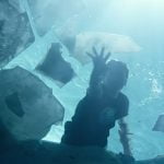 Imagem relacionada a Filme conta história de garoto que voltou à vida